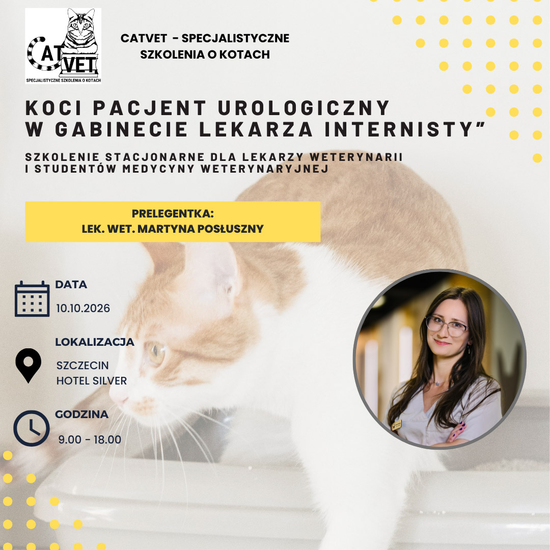 Koci pacjent urologiczny w gabinecie lekarza internisty