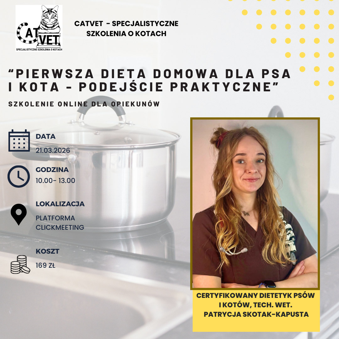 Pierwsza dieta domowa psa i kota – podejście praktyczne