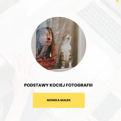 Podstawy kociej fotografii – Nagranie szkolenia online