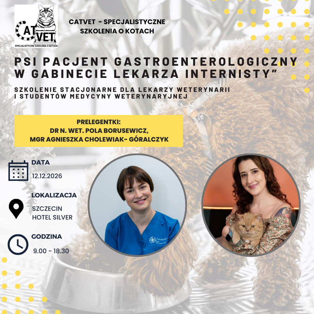 Psi pacjent gastroenterologiczny w gabinecie lekarza internisty
