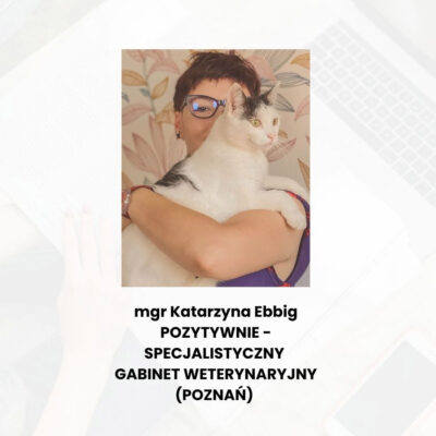 Trening medyczny z kotem w gabinecie weterynaryjnym – Nagranie Webinaru